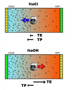 thermophoresis_microfluidic_electrolyte